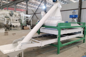 Manufacturer of pumpkin seed shelling and sorting machine