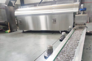 Manufacturer of stir fried peeled watermelon seed roasting production line