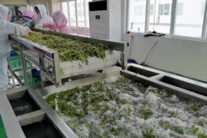 Manufacturer of vegetable cleaning bleaching blanching production line