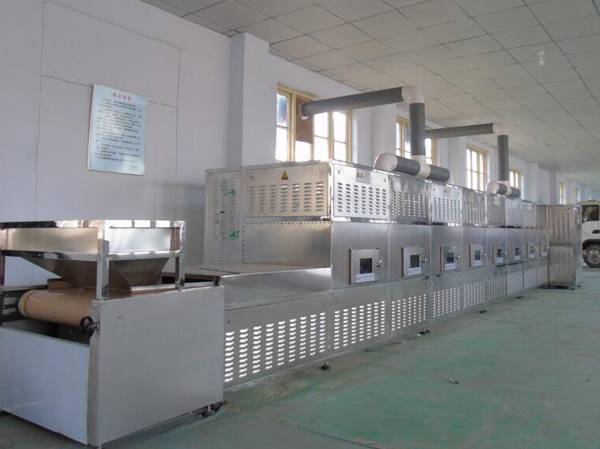 Manufacturer of vegetable drying and dehydration equipment