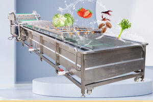 Manufacturer of vegetable washing and blanching machine