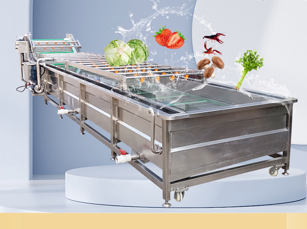 Manufacturer of vegetable washing and blanching machine