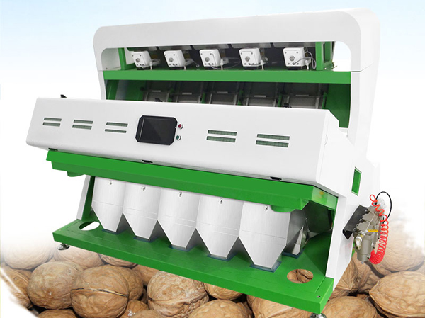 Manufacturer of walnut color sorting machine