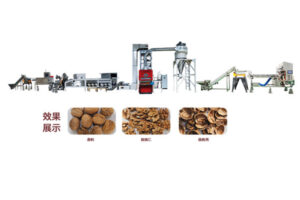 Manufacturer of walnut shelling production line