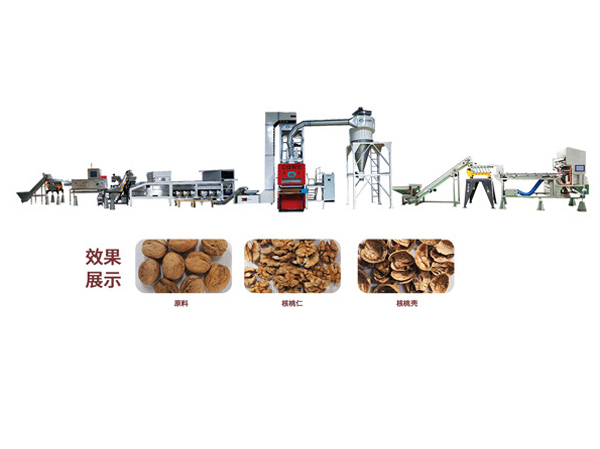 Manufacturer of walnut shelling production line