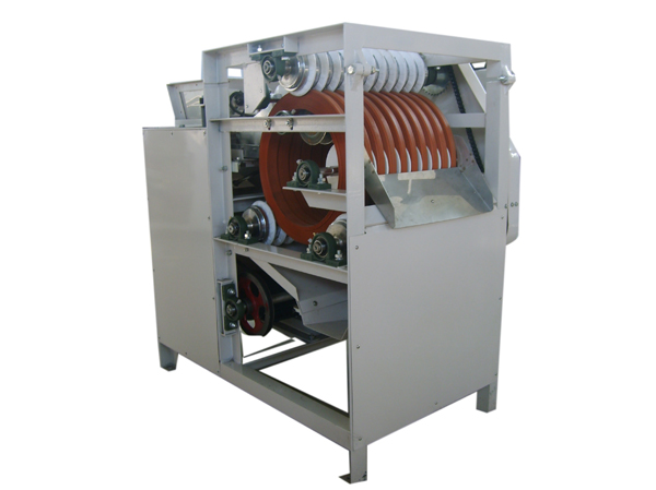 Manufacturer of wet broad bean peeling machine