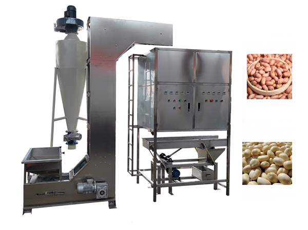 Manufacturer of wet peanut peeling machine