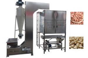 Manufacturer of wet peanut peeling machine