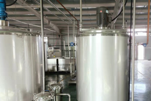 Raspberry Blueberry strawberry fruit wine production line manufacturer