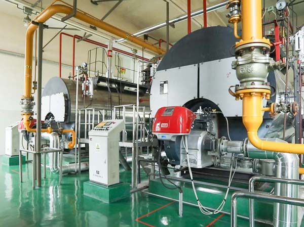 biomass fired fired thermal boiler supplier