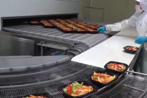 Manufacturer of automatic pre-cooked food production plant