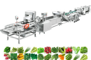 Manufacturer of central kitchen clean wegetable processing line