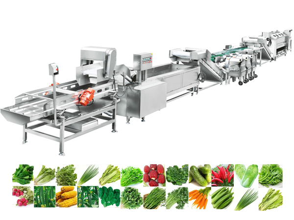 Manufacturer of central kitchen clean wegetable processing lines.jpg